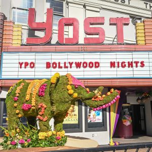 YPO - Bollywood Nights-3